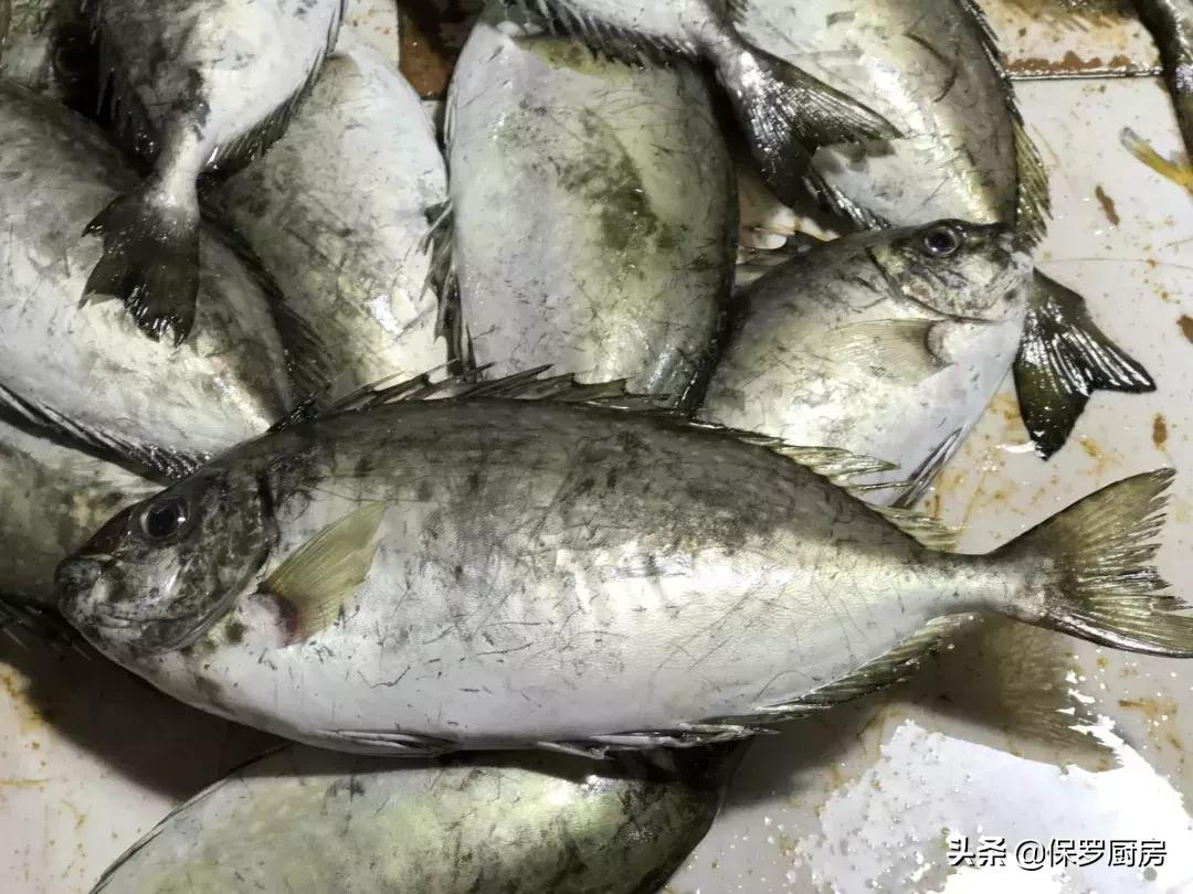 海鲜大荟萃,常见贝壳类海鲜