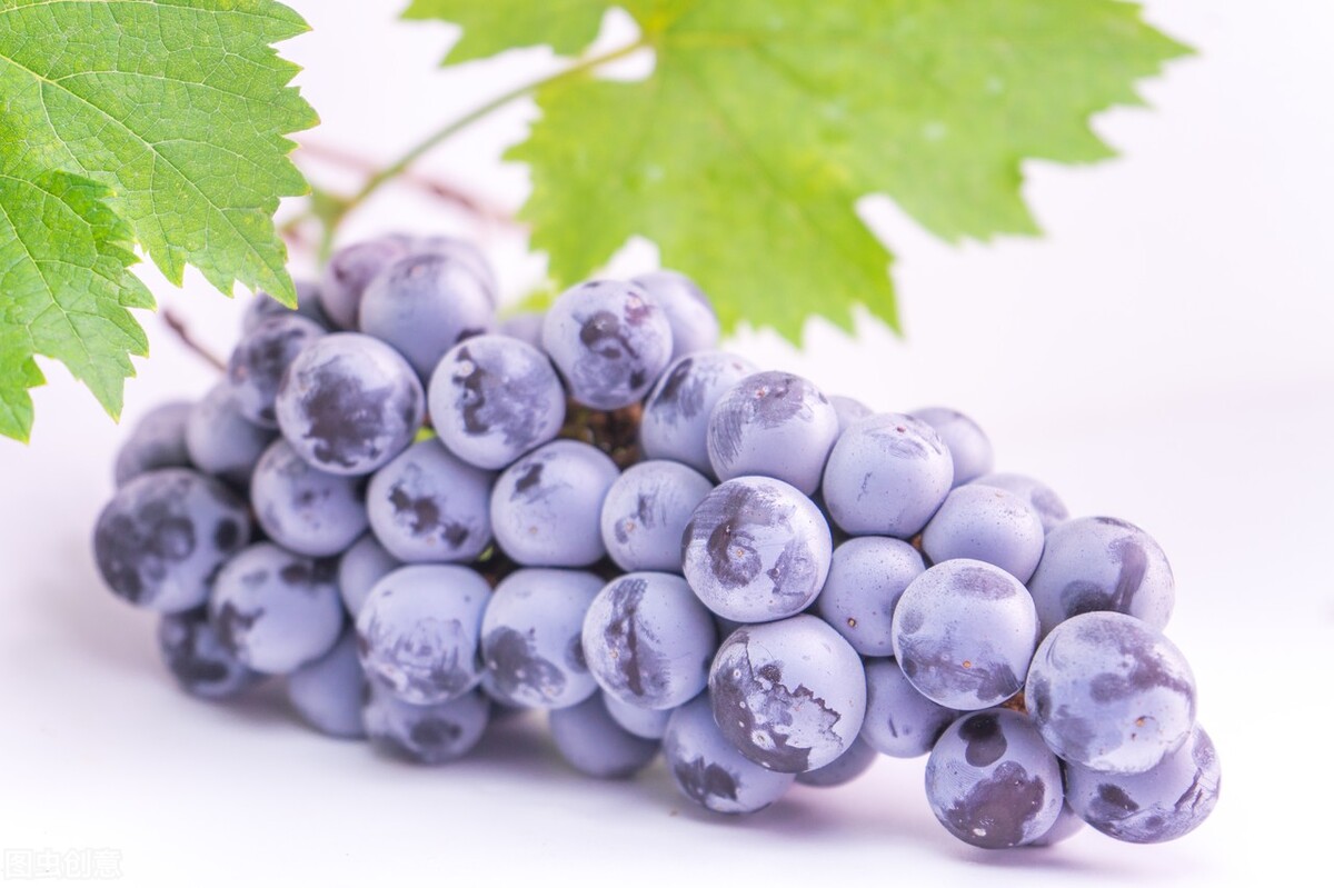 适合怀孕吃的12种水果,怀孕期间禁吃的十种水果