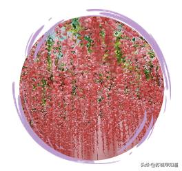 苏州平江路万达广场,苏州万达广场平江店