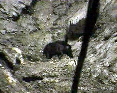 天下极境08:洞穴幽深,孰料别有洞天。万物生长靠太阳?未必