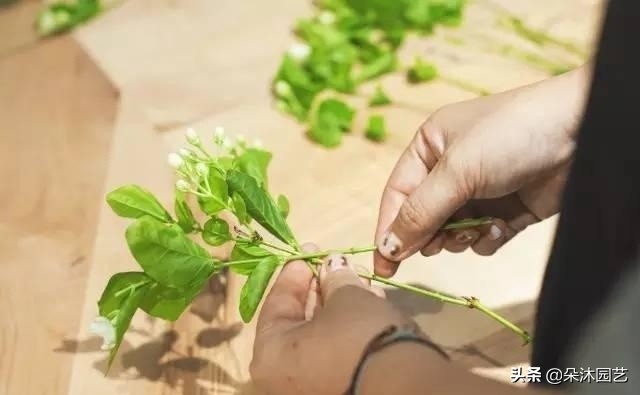 鲜花扎花束教程,手把手教你螺旋花束扎法