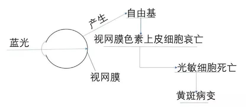 led灯刺眼对人体有什么危害,led灯的蓝光对皮肤有什么危害