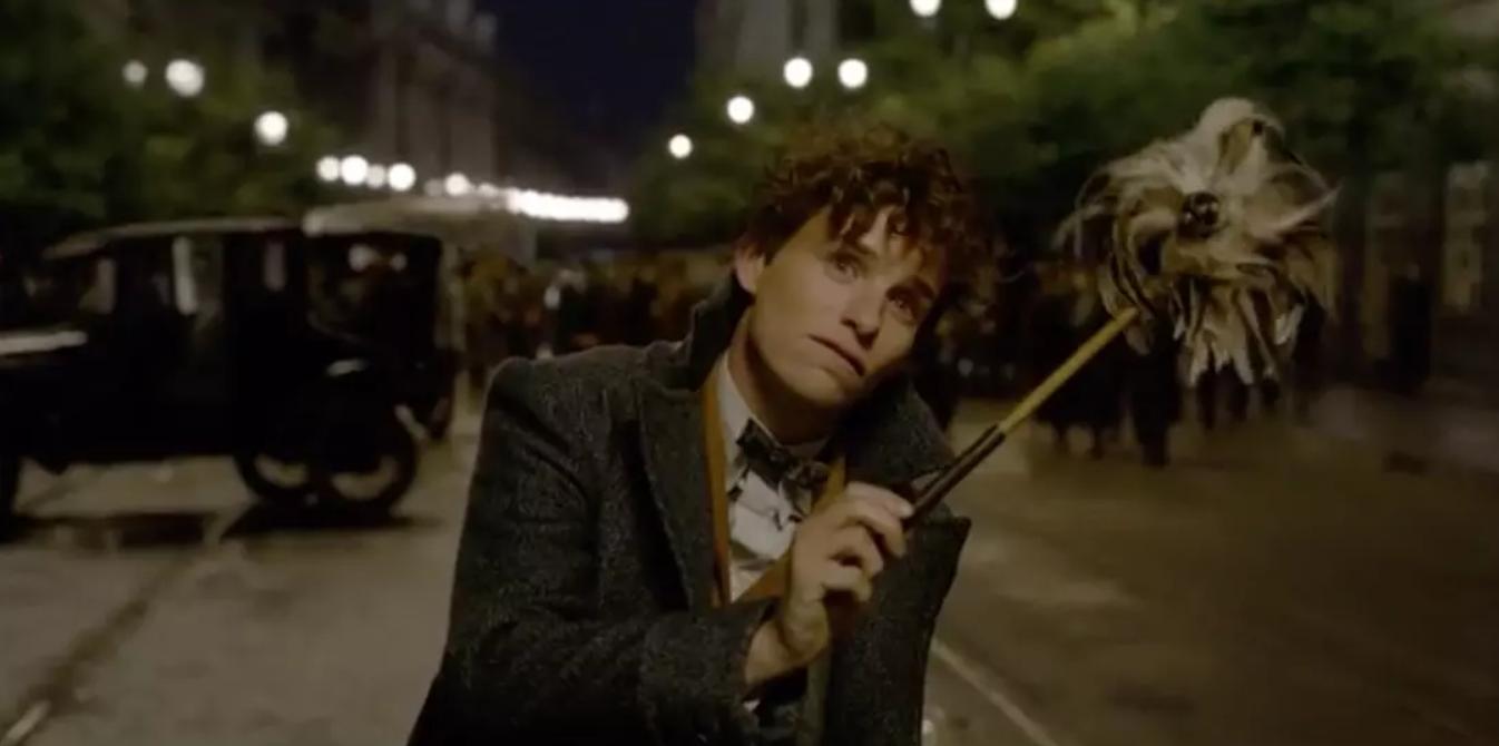 神奇动物在哪里小雀斑经典镜头,神奇的动物小雀斑