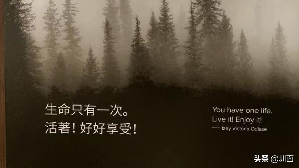 顺电体验,好的体验和感受一定是双向的