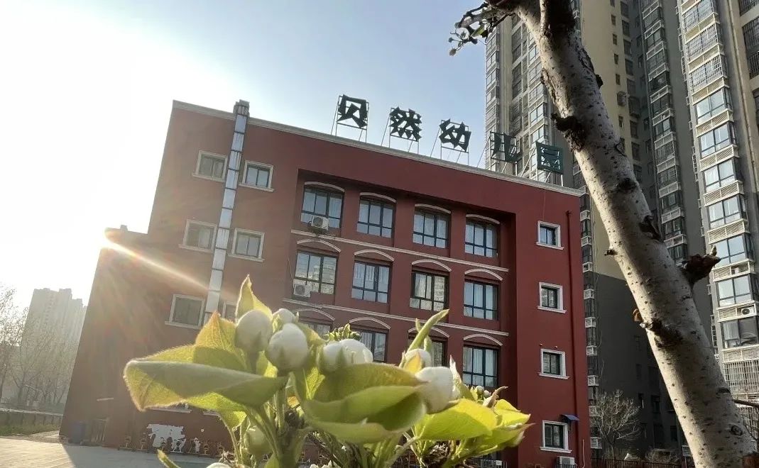 金水区公立幼儿园有哪些,郑州金水区第一幼儿园容易进吗