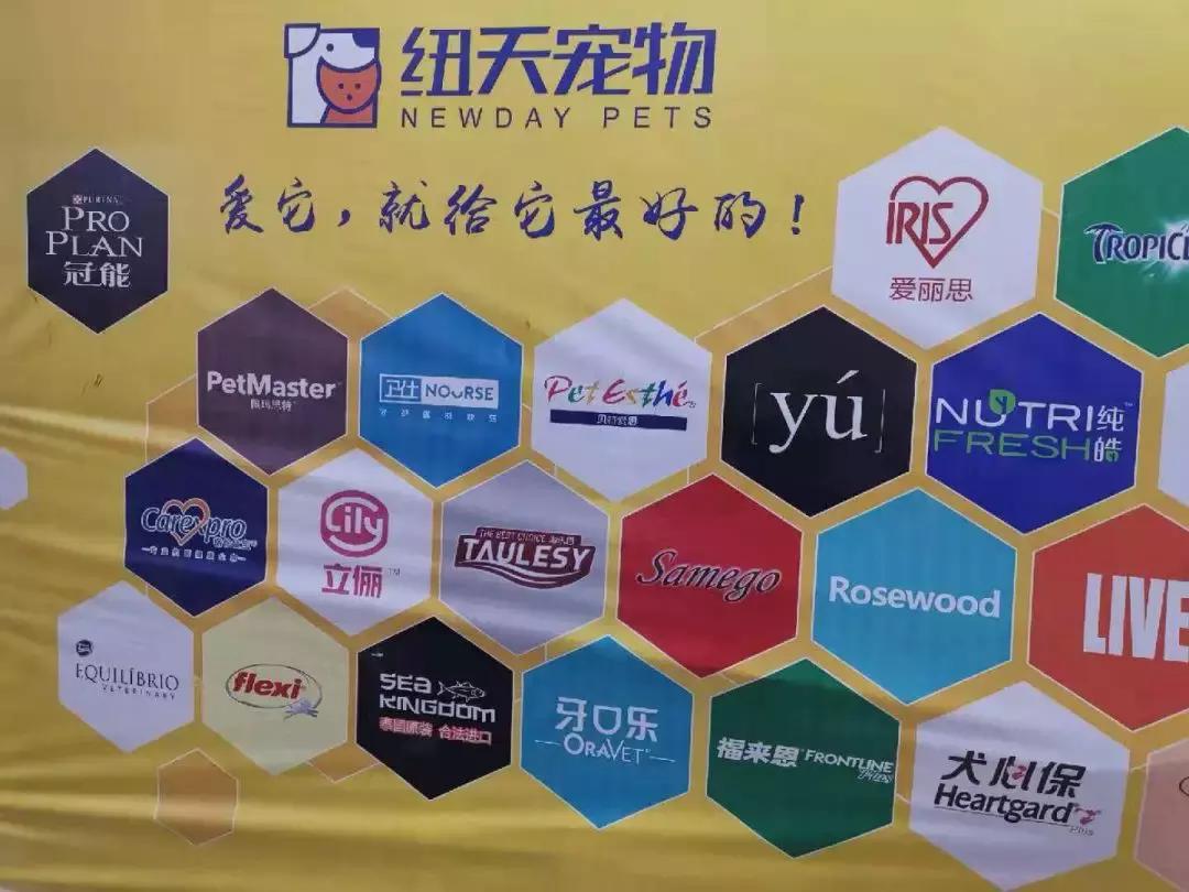 萌宠齐聚南京宠物博览会,day1