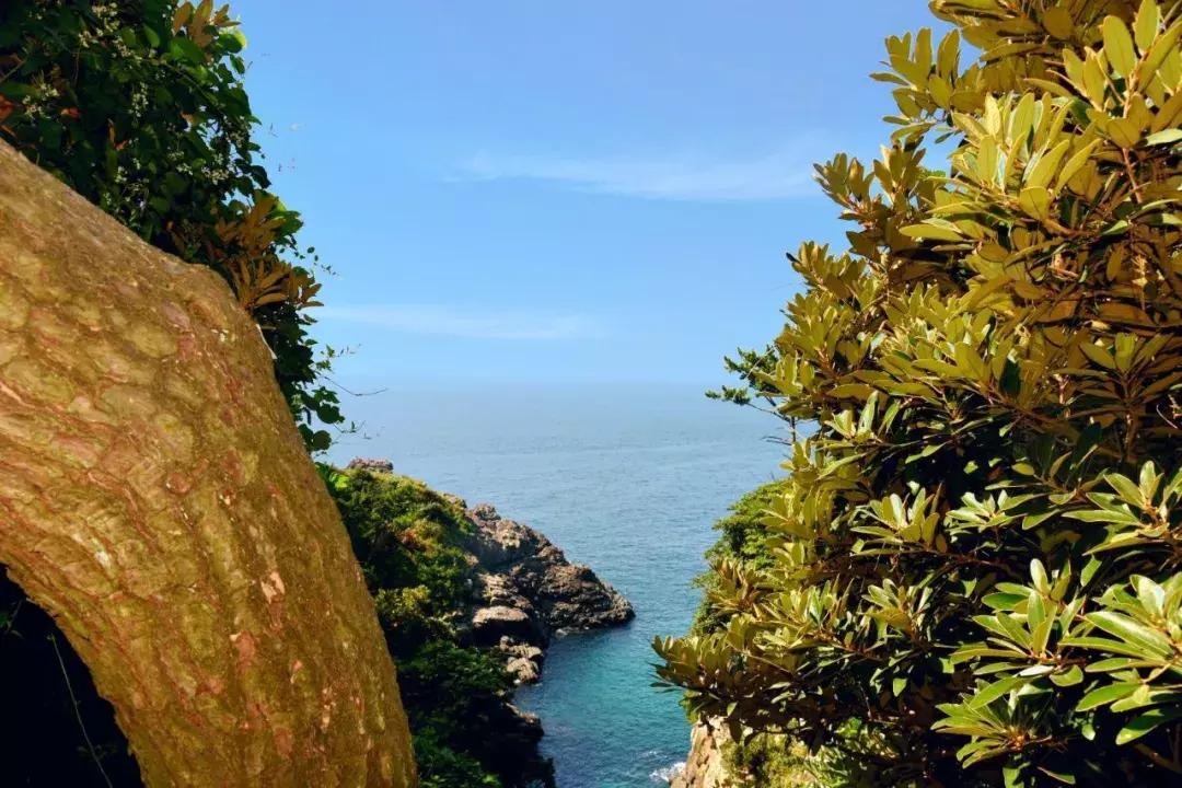 济州岛自由行详细攻略,济州岛自由行超实用攻略