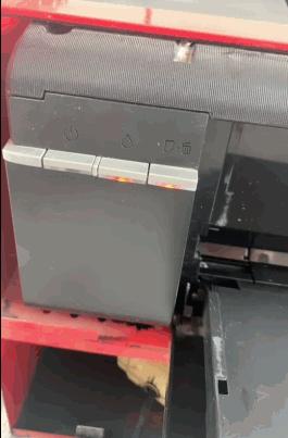 r330打印机识别不到纸张怎么办,爱普生r330墨水和纸张灯交替闪烁