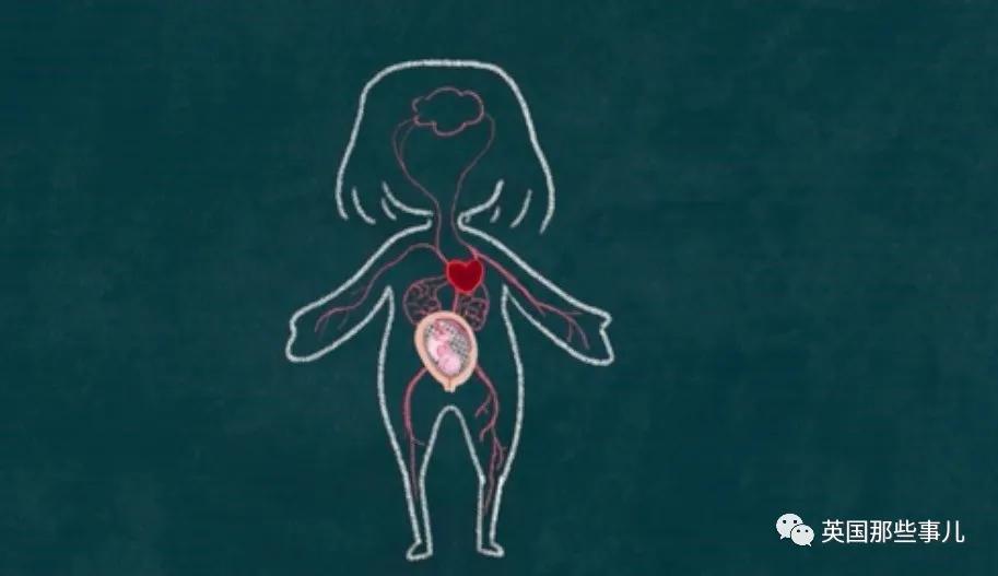 月经对女人的意义与作用,月经的作用和好处有哪些