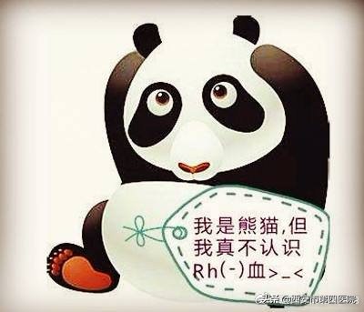 专家科普熊猫,熊猫家族科普