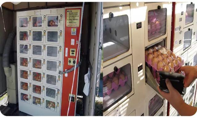 在日本的自助贩卖机里,你能买到全宇宙