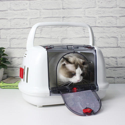 猫咪进猫包训练,如何训练猫咪进猫包