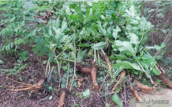 农村小伙刚入电商这行投入十几万,农村小伙创业干电商怎么样