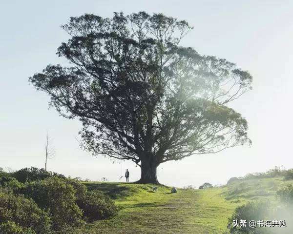 蔡崇达讲皮囊,皮囊蔡崇达感言