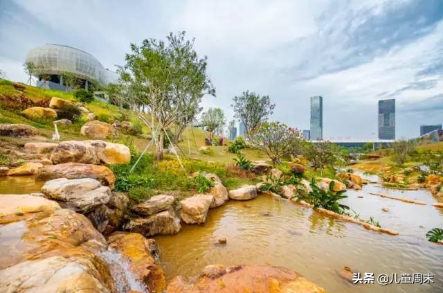 深圳中心公园足球场,深圳中心公园大草坪