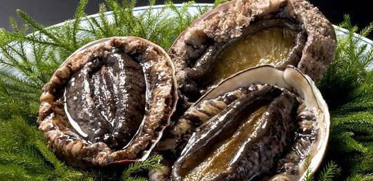 嘘！我要去澳洲了，不如一起吧