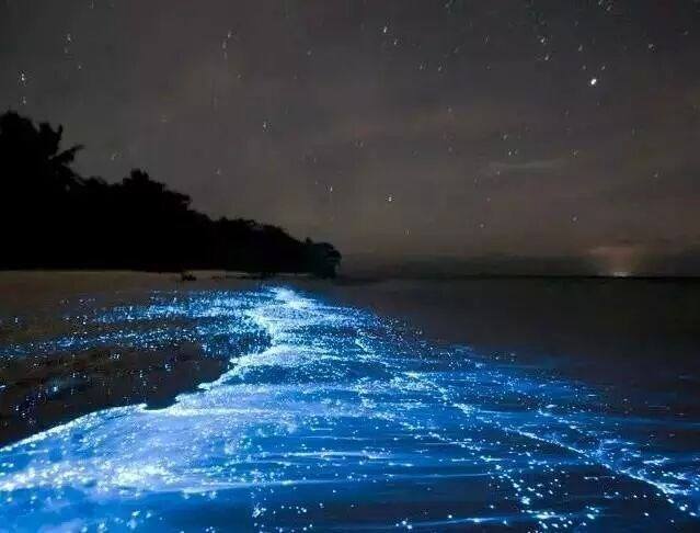 大连出发穷游去哪里比较好,大连自由行住宿攻略