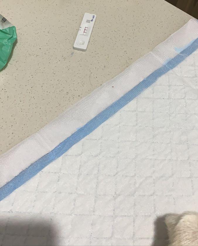 买一只小法斗多少钱,狗市买的小法斗