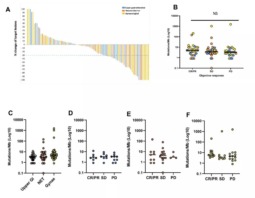 肿瘤突变负荷（TMB）能预测联合免疫治疗的疗效吗？|脑海Yeah