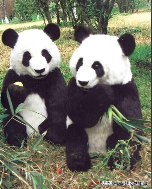 高一生的学习方法,必读高中各科学习方法汇总