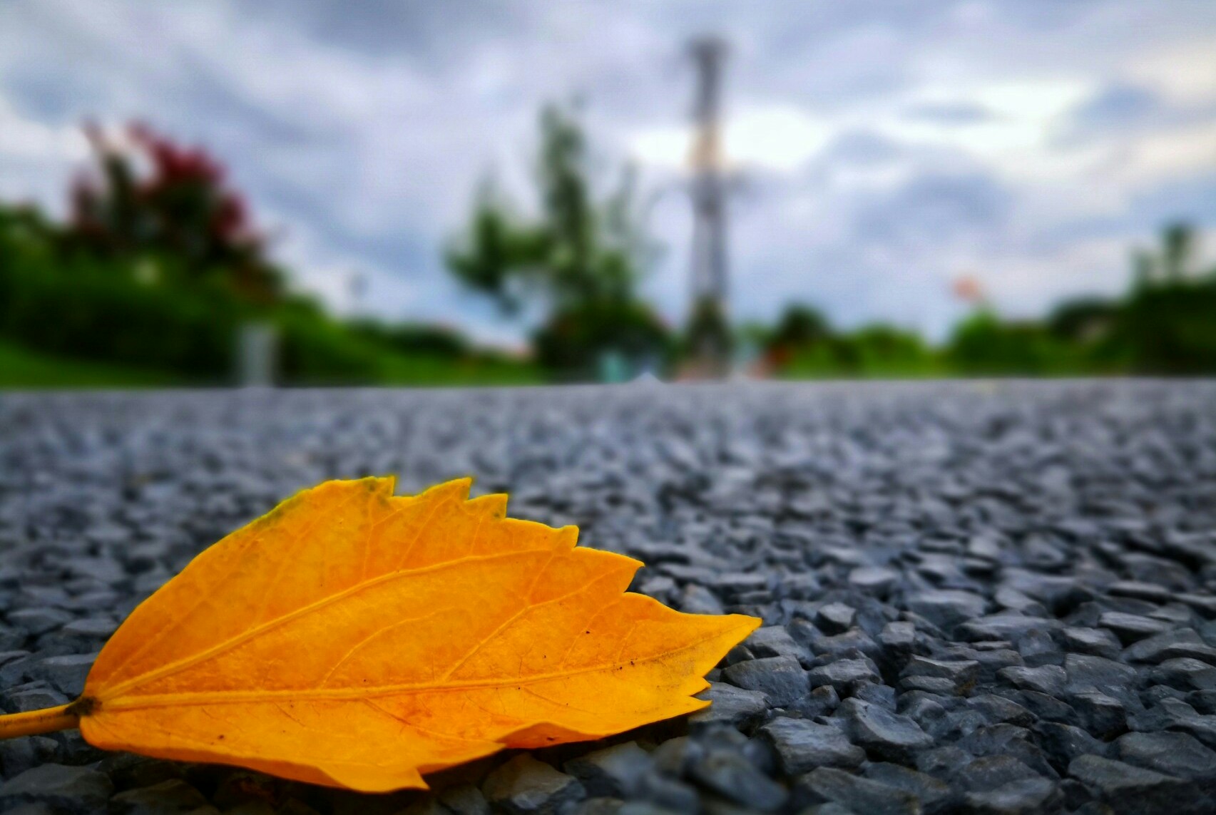 照顾癌症病人照顾到崩溃,如何照顾癌症晚期的病人