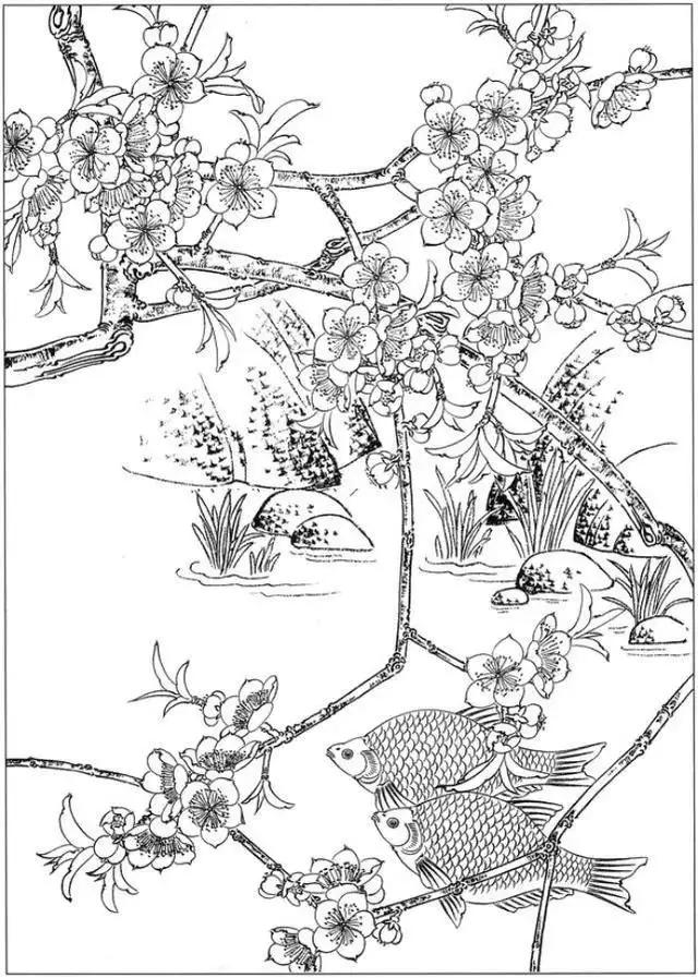 简单易画的工笔画线稿,各种鱼类工笔画图片