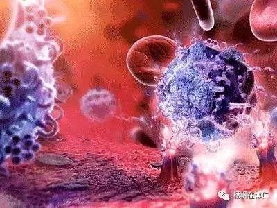 谈危色变的意思,谈危色变