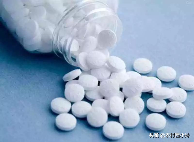 这5种小药片当花肥,6种药片养花