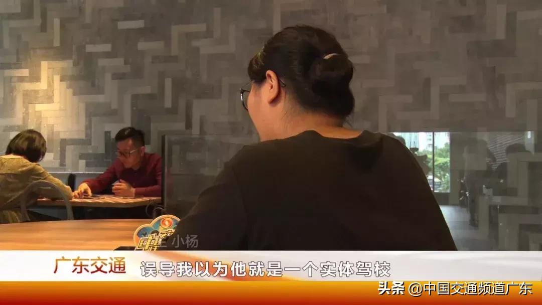 猪兼强事件最新情况,猪兼强驾校最新消息