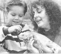 爬宠没有合适的温度会变成什么样,对环境要求不高的爬宠