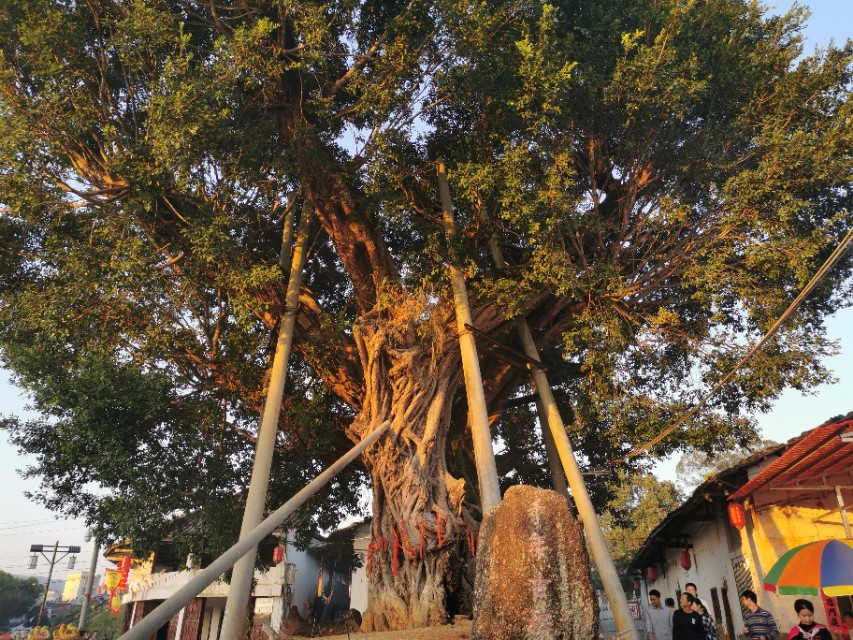 珠玑古巷在哪里,珠玑古巷怎样寻宗访祖