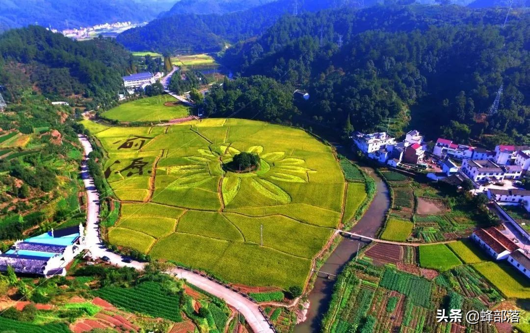 农村办理房屋证需要什么手续吗,农村一宅多户如何办理不动产权证