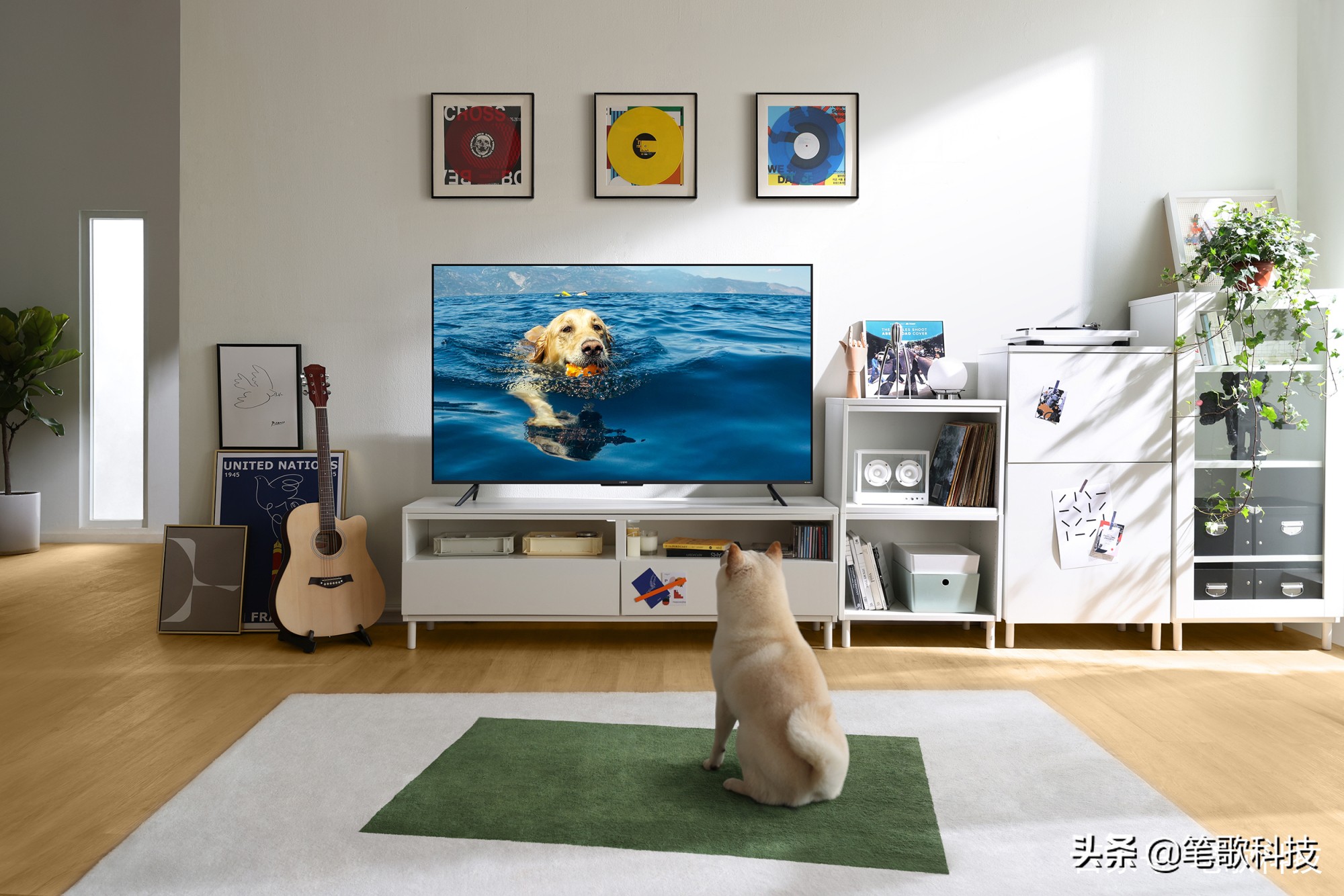 oppok9电视音质改善,影院级音效震撼电视机