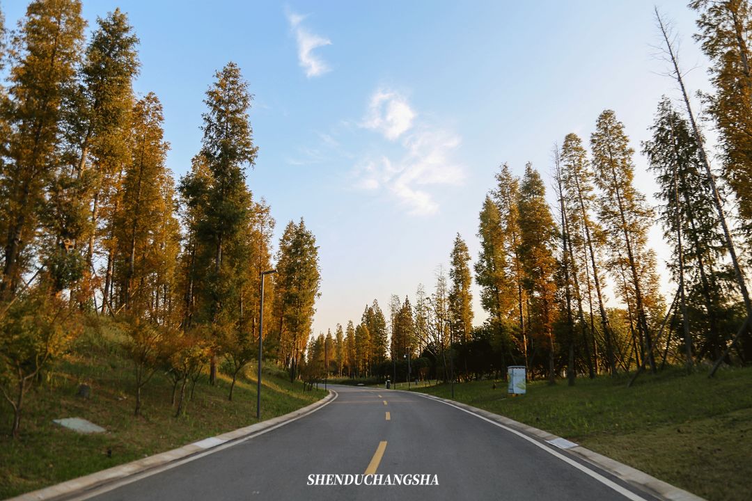 长沙秋季旅游景点推荐,长沙旅游攻略必玩的十大景点推荐