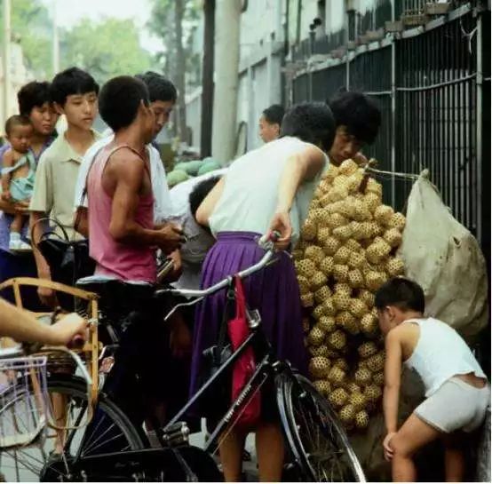 吸猫养狗和养猫的不同之处,养宠物猫比较流行的城市