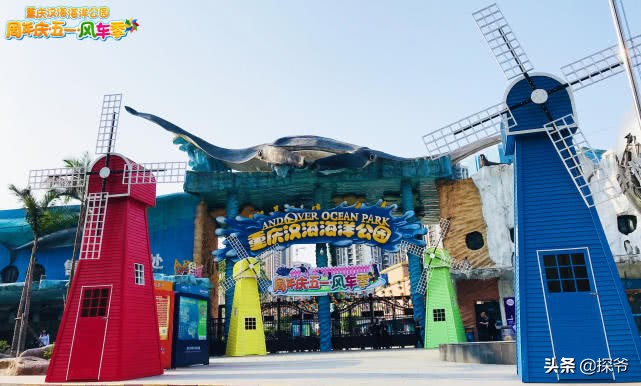 重庆某海洋公园半夜现神秘“驴叫”竟然是企鹅在叫