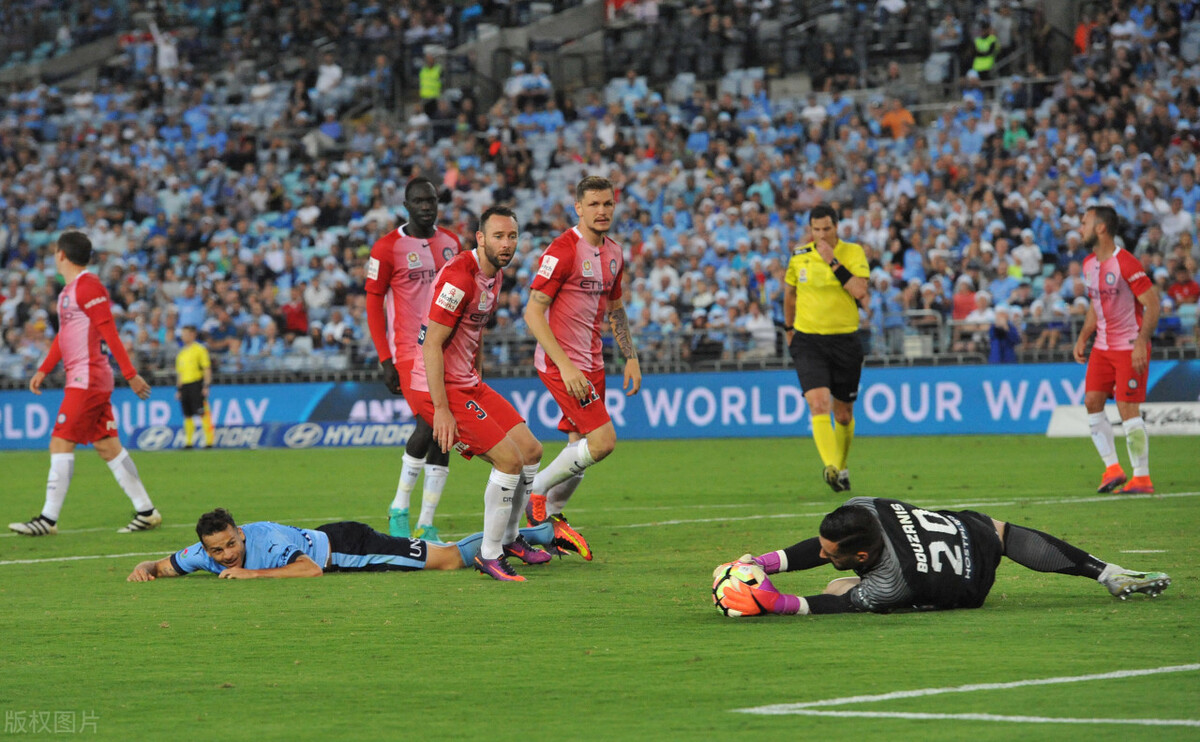 京都不死鸟vs甲府风林预测,京都不死鸟进球数