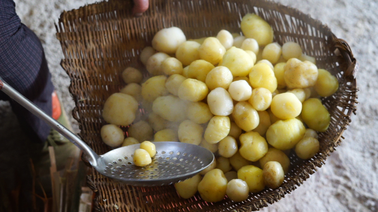 恩施炕洋芋的视频,恩施炕土豆特产视频