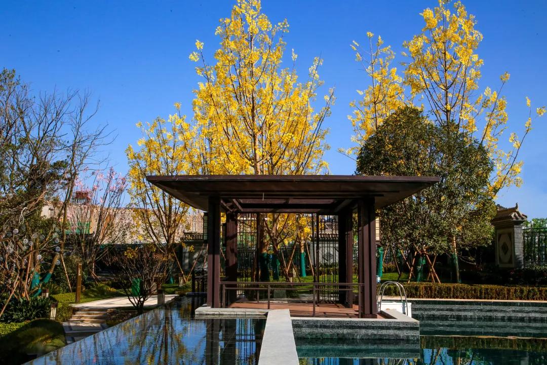 8字头起!地铁口瞰江美宅即将首开