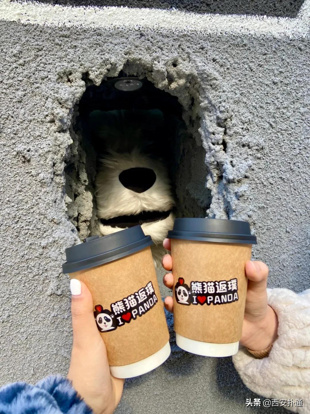 仅凭一个洞就爆火全网，这家熊爪咖啡西安也有了