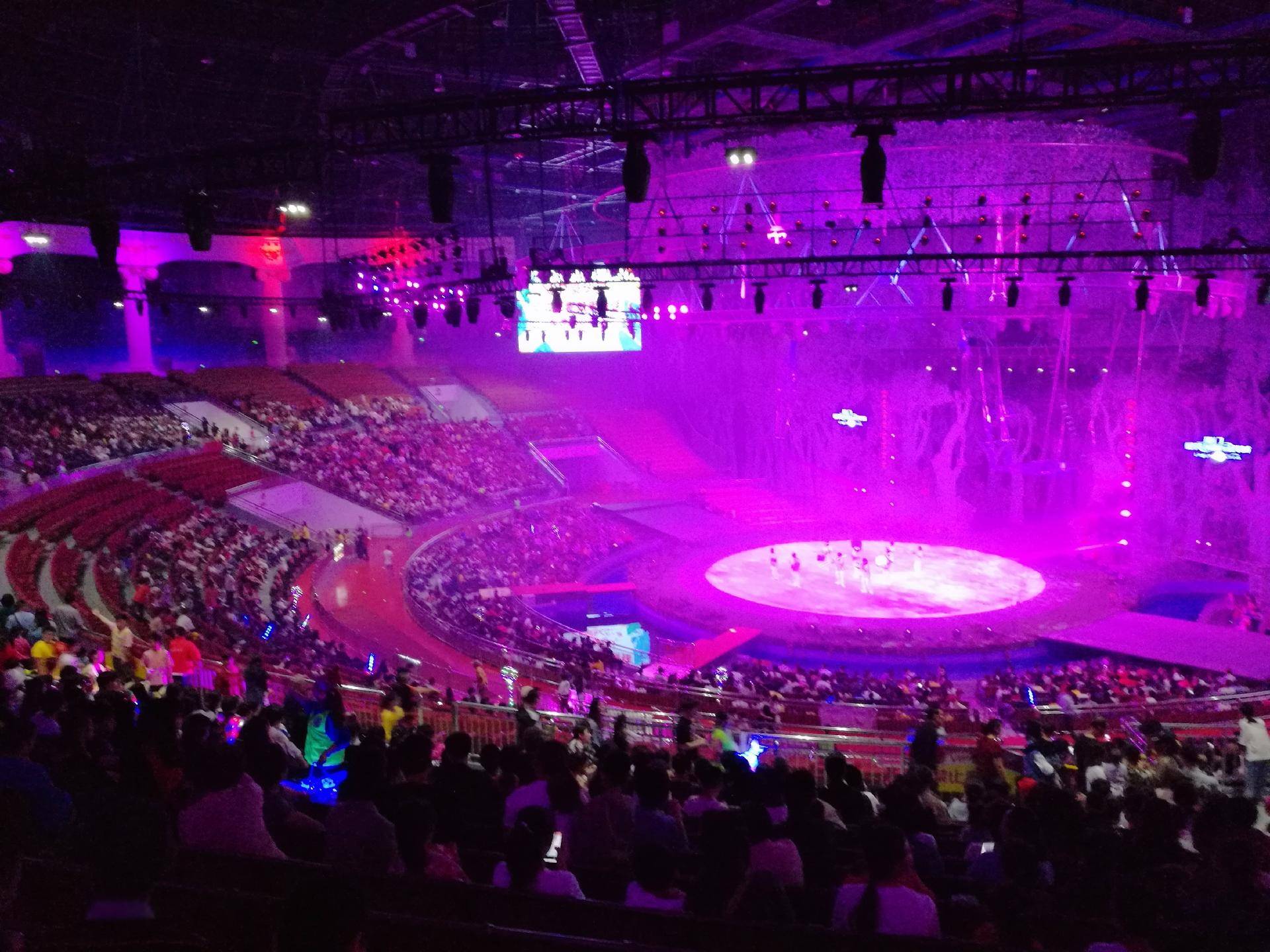 厦门灵玲动物王国游玩时间,五一去哪个动物园玩亲子一日游