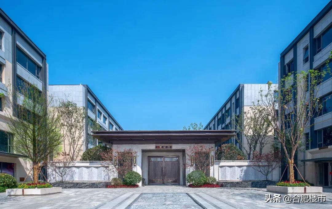 滨湖新区新盘,滨湖新区高档楼盘样板房