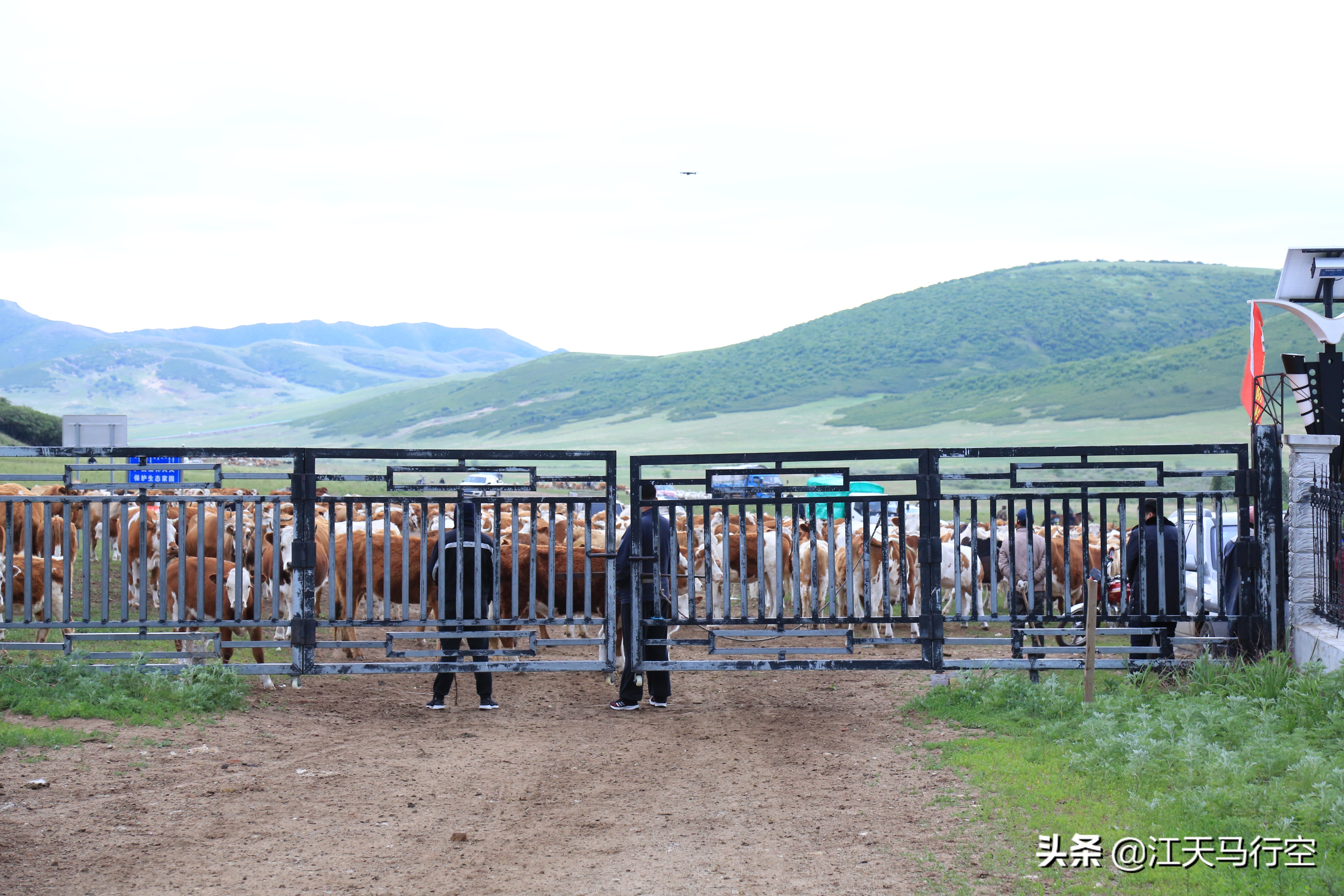 内蒙古草原与国家公园,内蒙古的草原自然公园