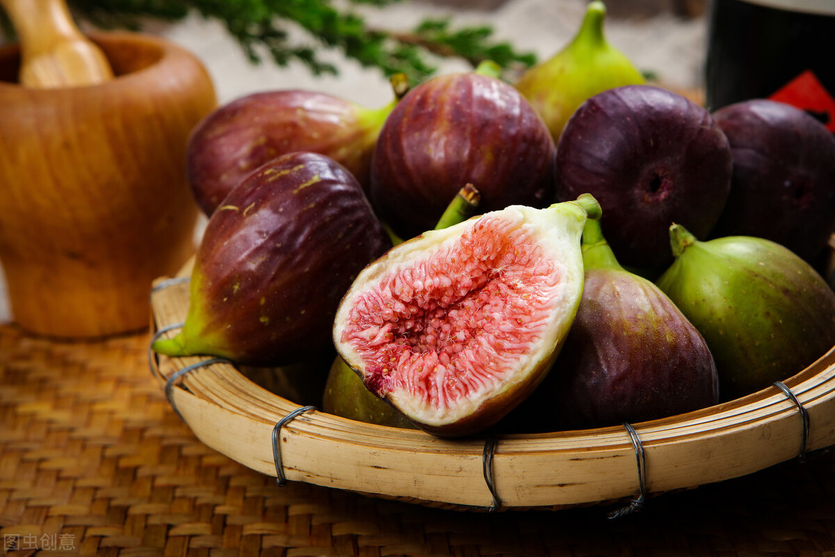 怎样种植无花果不生虫,怎样种植无花果盆景