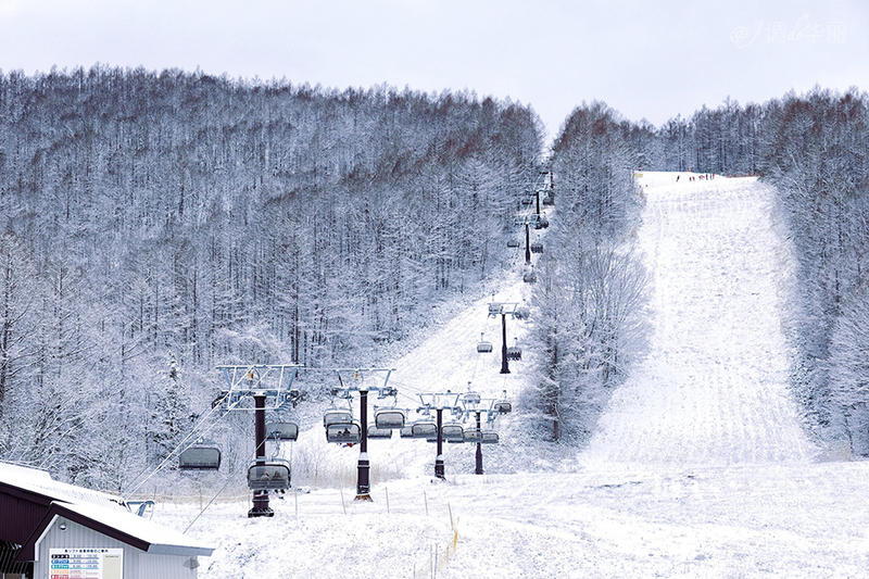日本东京一日游攻略详细,日本东京五日游最佳路线图