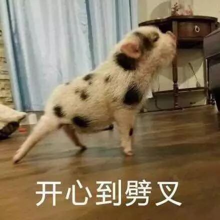 赵丽颖否认自己像杨幂,赵丽颖否认和他谈恋爱