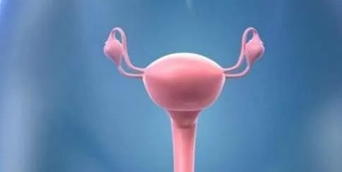 女性子宫畸形就不能怀孕了吗?并不是!有些还是可以怀上的