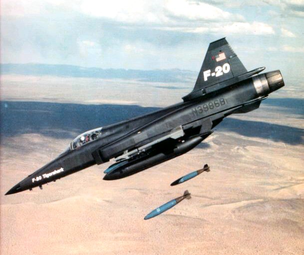 极富悲剧色彩的虎鲸,虎鲨悲剧