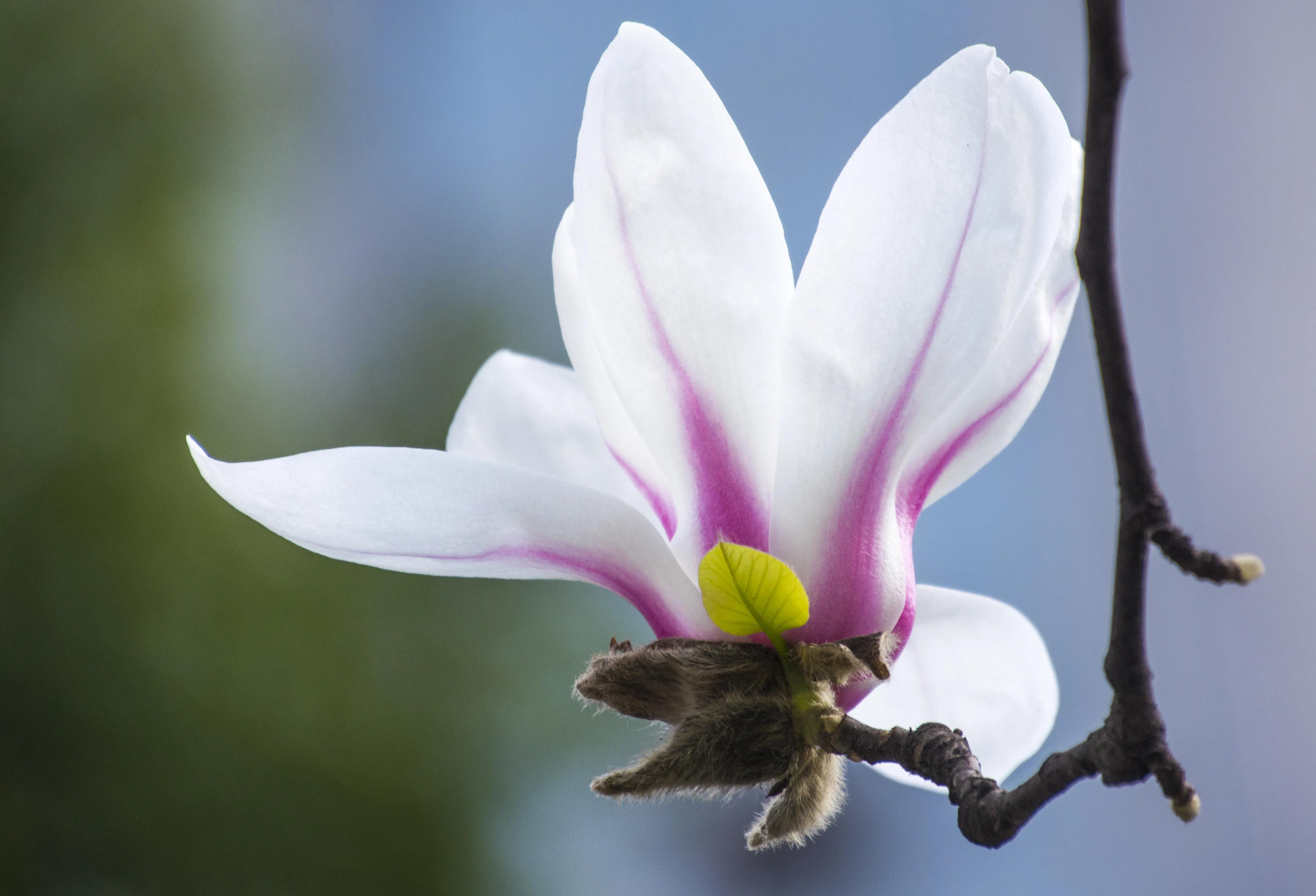 贵州大学8090后的回忆,贵州大学往事