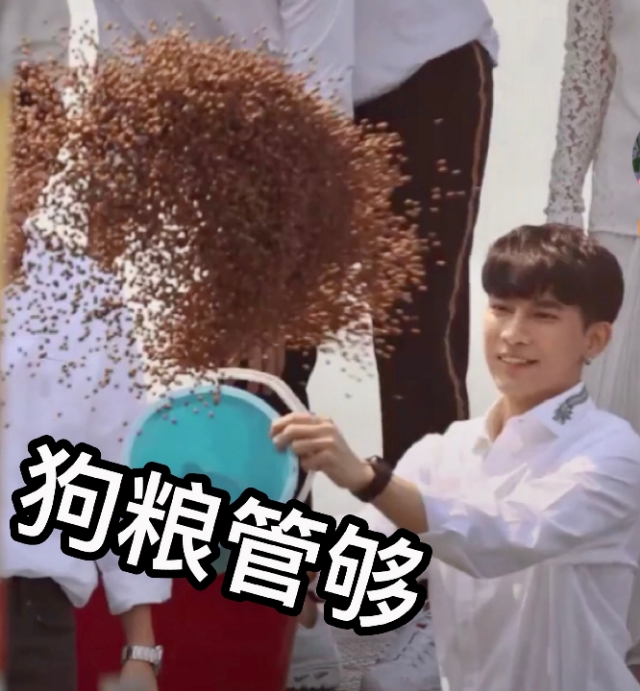 陪你到世界之巅电视剧,泰剧推荐与爱同居